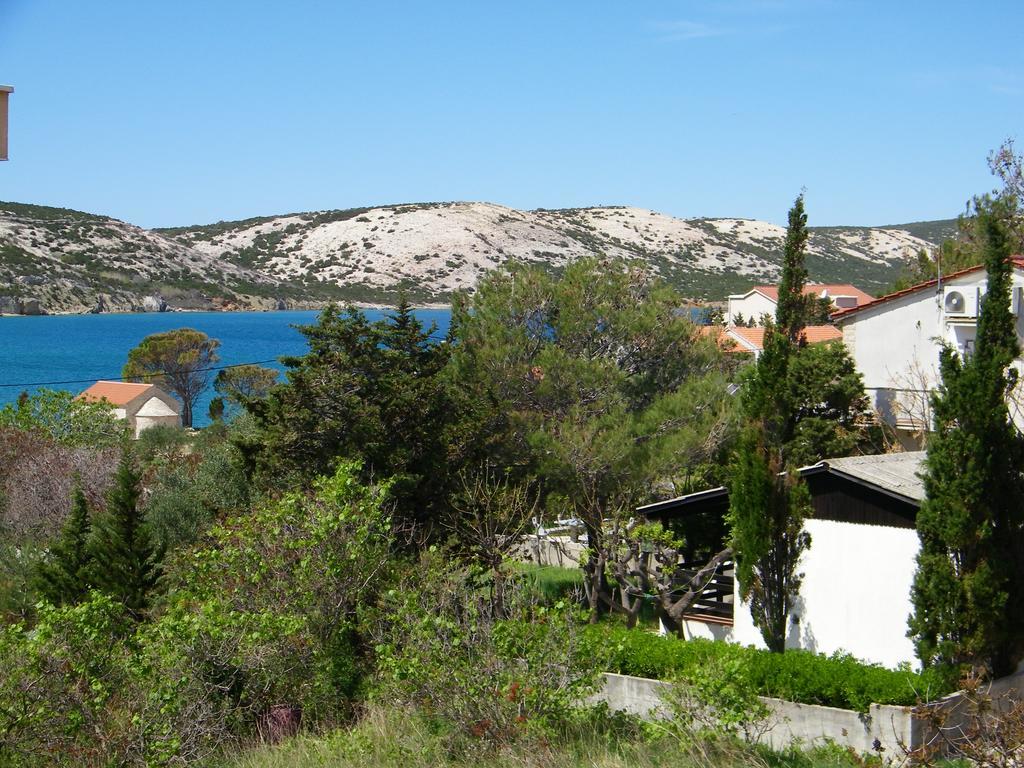 סטארה נובליה Apartments Fran מראה חיצוני תמונה